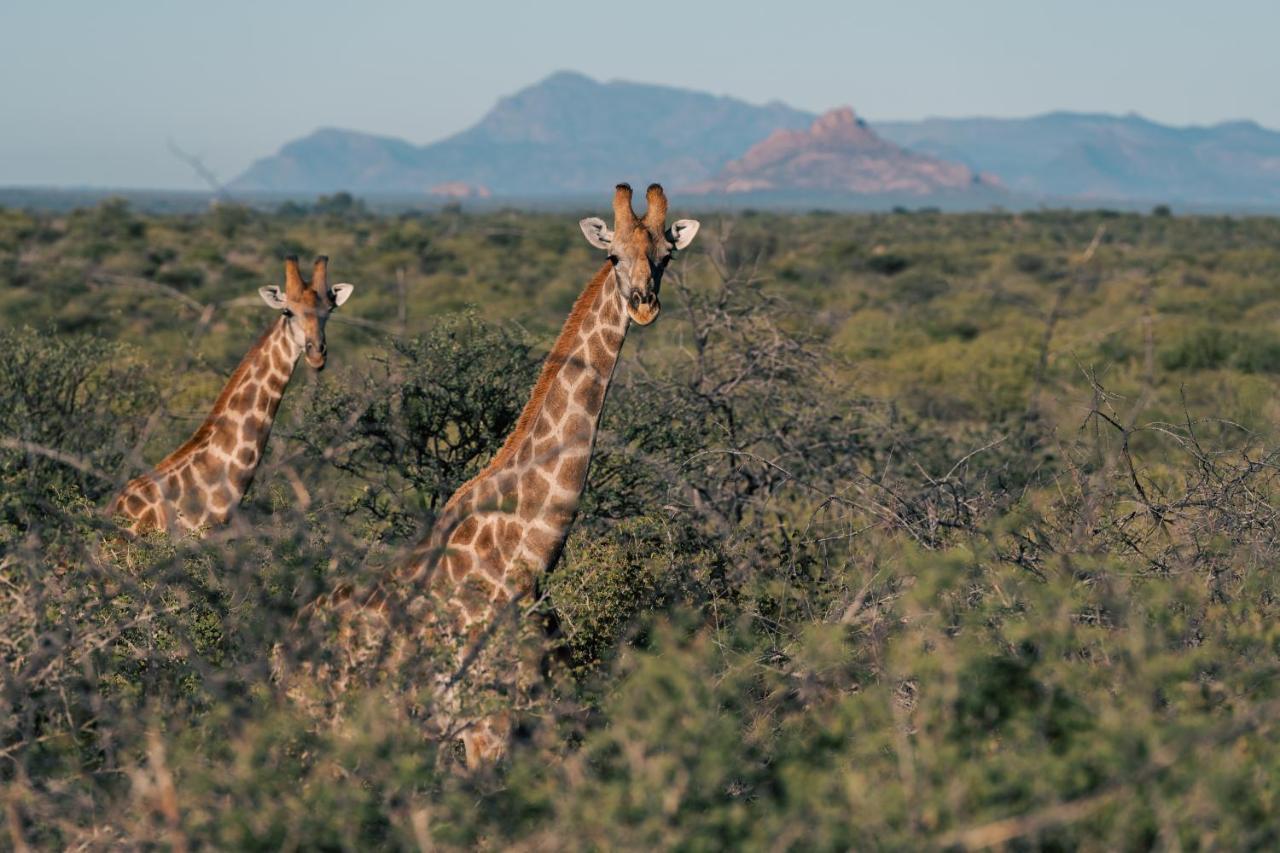 Omaruru Game Lodge 외부 사진