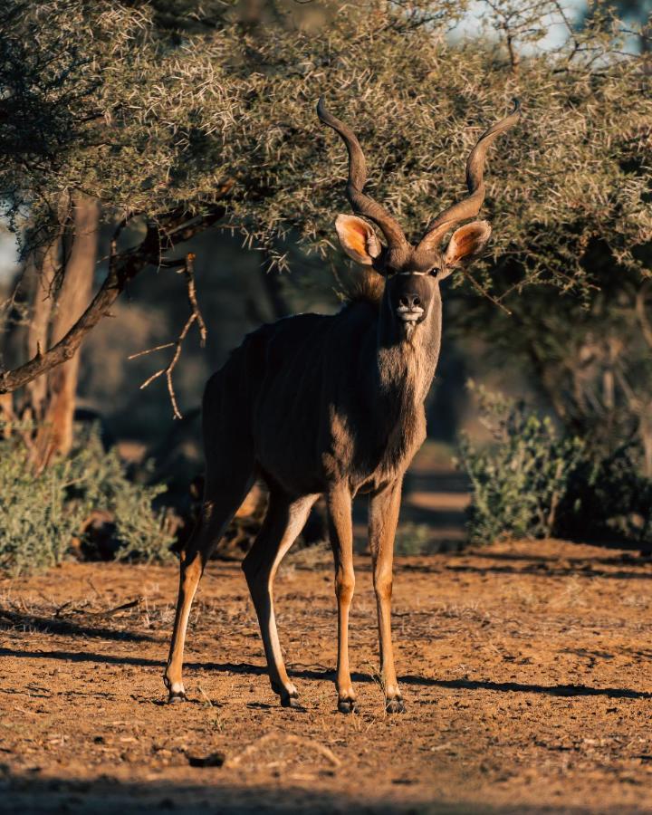Omaruru Game Lodge 외부 사진