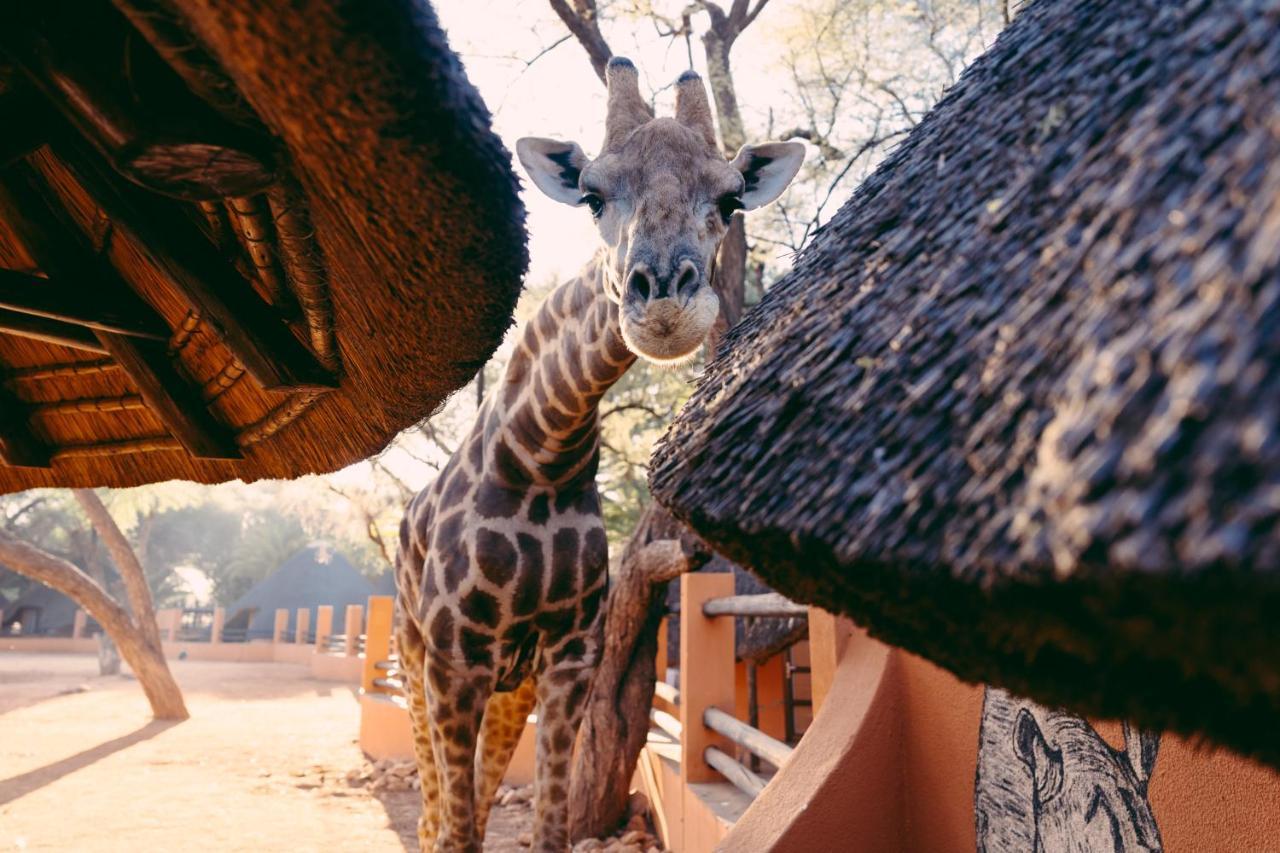 Omaruru Game Lodge 외부 사진