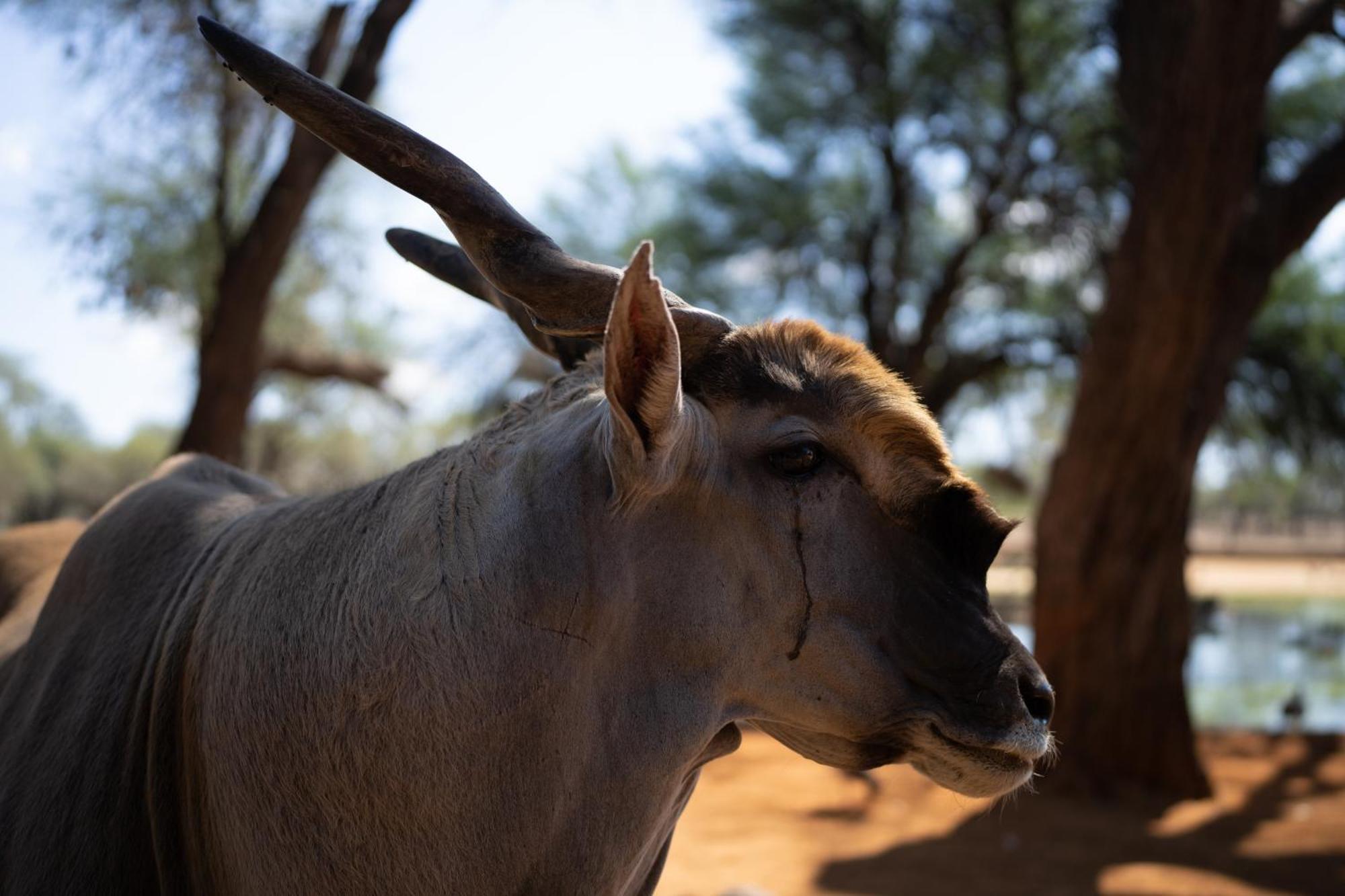 Omaruru Game Lodge 외부 사진