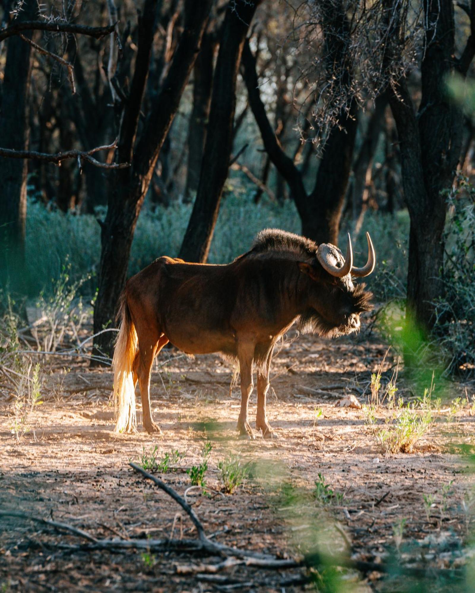 Omaruru Game Lodge 외부 사진