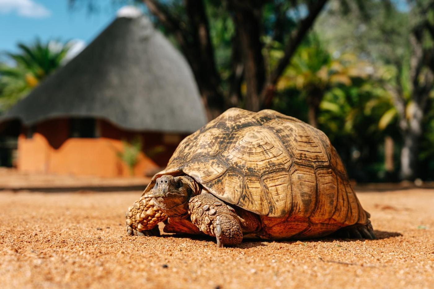 Omaruru Game Lodge 외부 사진
